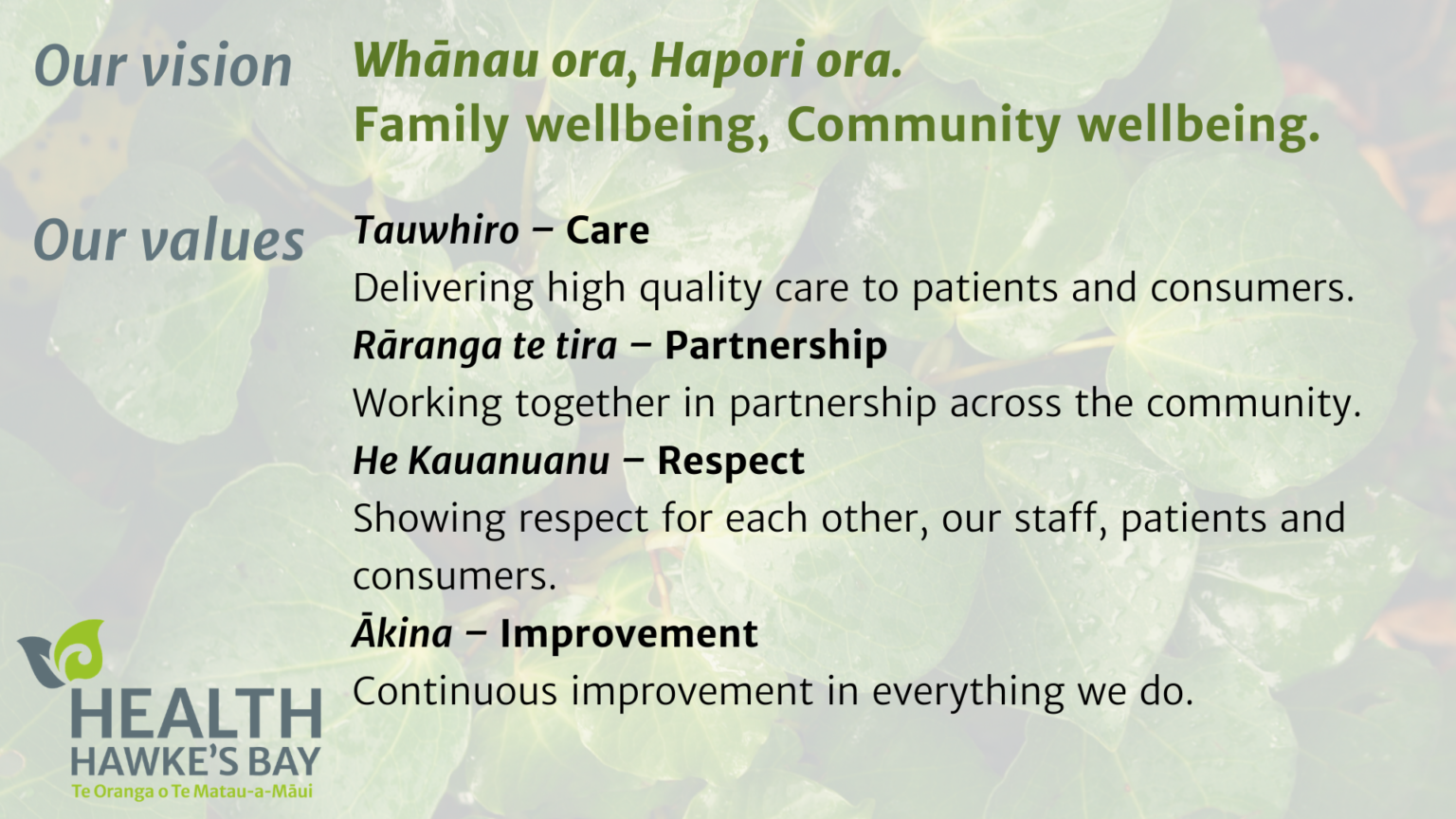 vision-and-values-health-hawke-s-bay