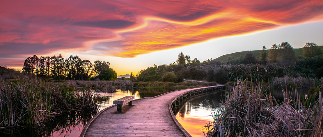 A photograph of PekaPeka wetland at dusk, looking down a wooden walkway with an array of colours reflecting off the clouds and the water
